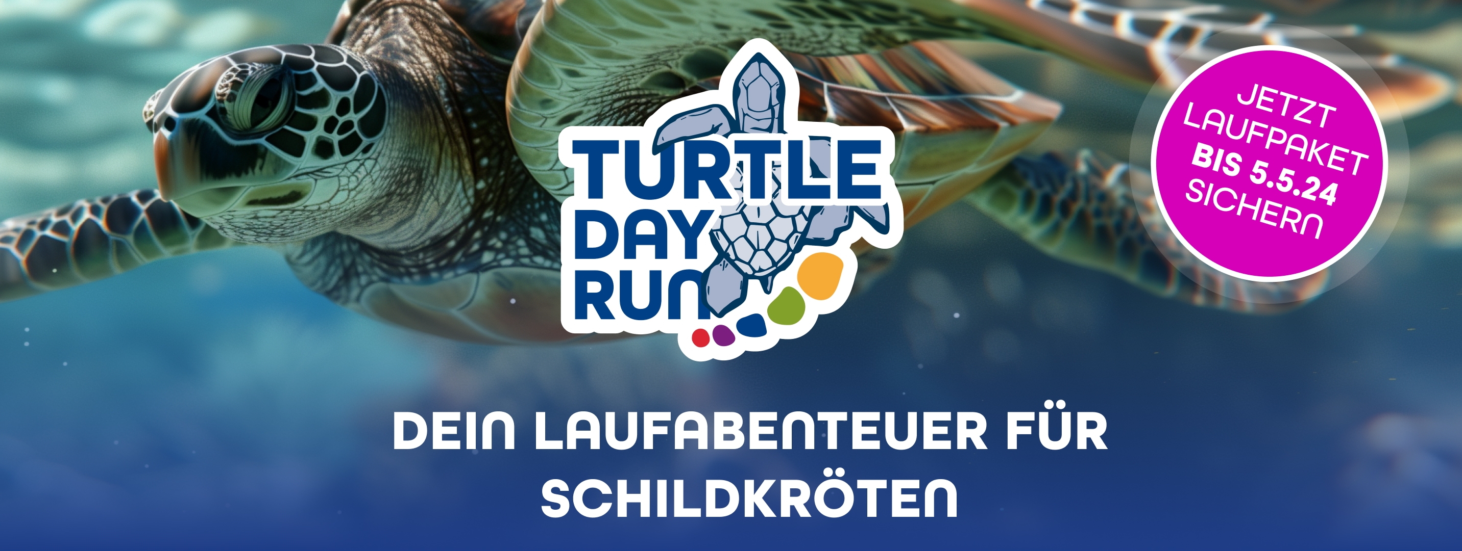 Turtle Day Run – Jetzt anmelden bis 5.5.24